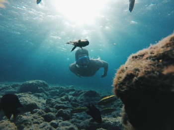 man dive under blue body of water man dive under blue body of water