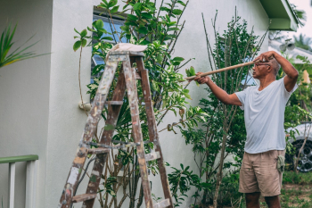 Man Doing Gardening Man Doing Gardening