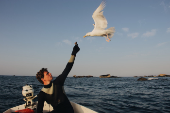 Man Feeding Flying White Bird Man Feeding Flying White Bird