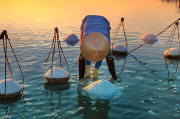 Man Harvesting Salt Man Harvesting Salt