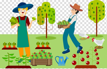 Man holding leafed plant standing near farm illustration, Agriculture Farmer Drawing Organic farming, Picking vegetables transparent background PNG clipart