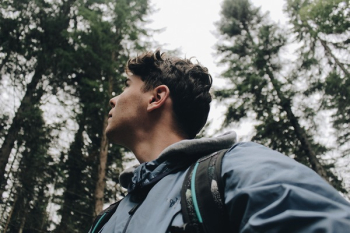 Man in Blue Hooded Jacket Under Tall Trees