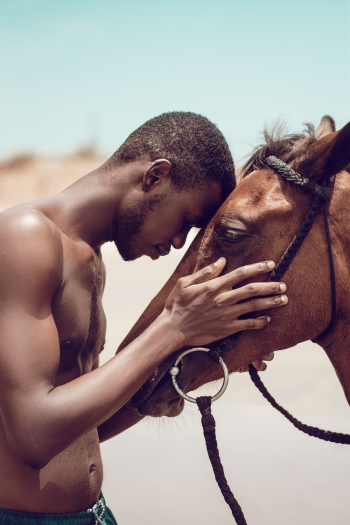 Man Leaning Head On Horse's Head Man Leaning Head On Horse's Head