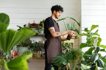 Man misting plants with a water spray | Free stock photo | High Resolution image Man misting plants with a water spray | Free stock photo | High Resolution image