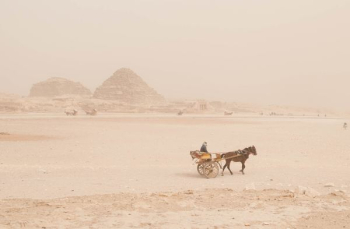 man on brown carriage with brown horse near a brown pyramid man on brown carriage with brown horse near a brown pyramid