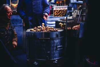 Man Sitting and Looking on Chestnuts Man Sitting and Looking on Chestnuts