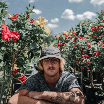 man sitting near hibiscus flowers during daytime man sitting near hibiscus flowers during daytime