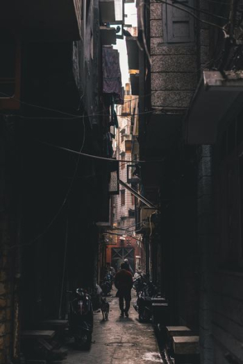 man walking beside dog between buildings man walking beside dog between buildings