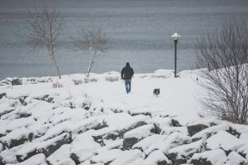 Man Walking Dog In Snow Man Walking Dog In Snow