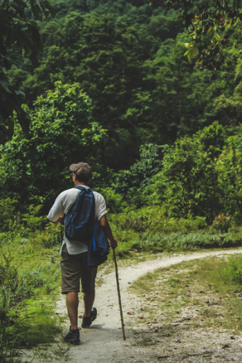 Man Walking on Trail Man Walking on Trail
