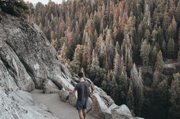 Man Walking on Walkway Near Trees Man Walking on Walkway Near Trees