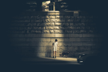 Man Walking With German Shepherd Outdoor Man Walking With German Shepherd Outdoor