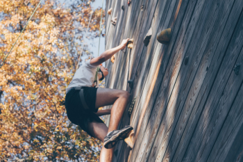 Man Wall Climbing Beside Trees Man Wall Climbing Beside Trees
