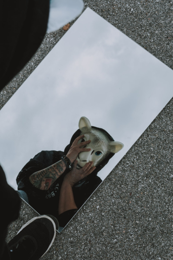 Man Wearing Animal Mask Man Wearing Animal Mask