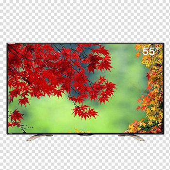 Manabang Shan Zhongshan Fragrant Hills Park Jinzi Mountain Maple leaf, LCD TV transparent background PNG clipart