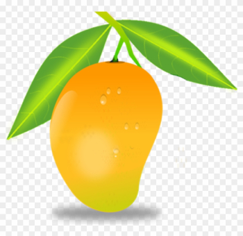 Mango Clip Art - Mango Png Vector