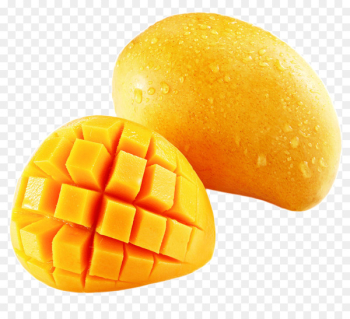 Mango extract Irvingia gabonensis Ripening Fruit - Mango Mango extract Irvingia gabonensis Ripening Fruit - Mango