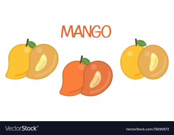 mango flat icon set set of mango flat icon set set of