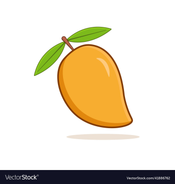 mango fruit mango fruit