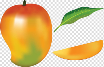 Mango Fruit Drawing , mango transparent background PNG clipart Mango Fruit Drawing , mango transparent background PNG clipart