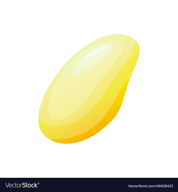 mango fruit icon mango fruit icon