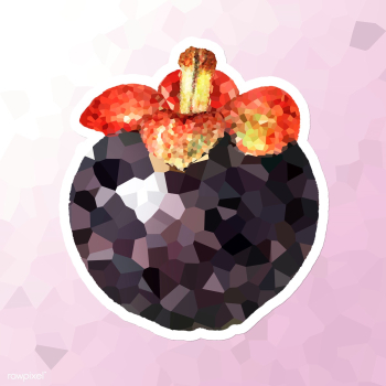 Mangosteen crystallized style sticker illustration | Free illustration - 2341140 Mangosteen crystallized style sticker illustration | Free illustration - 2341140
