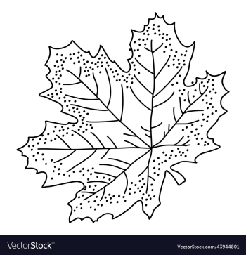 maple leaf maple leaf
