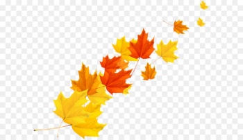 Maple leaf Autumn - Autumn maple leaf vector Maple leaf Autumn - Autumn maple leaf vector