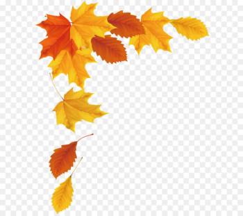 Maple leaf Autumn - Autumn vector Maple leaf Autumn - Autumn vector