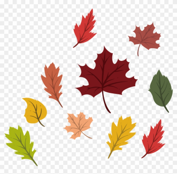 Maple Leaf Autumn Deciduous - Maple Leaf Maple Leaf Autumn Deciduous - Maple Leaf
