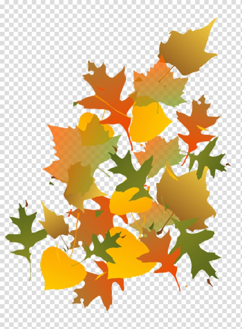 Maple leaf Autumn, fall transparent background PNG clipart