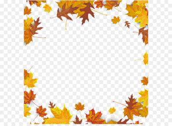 Maple leaf Autumn leaf color - Maple leaf background Maple leaf Autumn leaf color - Maple leaf background