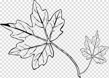 Maple leaf Autumn leaf color , maple leaf transparent background PNG clipart Maple leaf Autumn leaf color , maple leaf transparent background PNG clipart