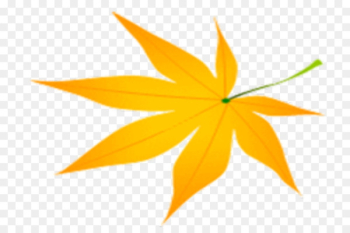 Maple leaf - Autumn Maple Leaf Maple leaf - Autumn Maple Leaf