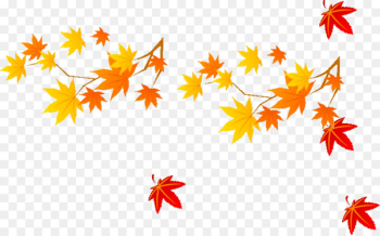 Maple leaf Autumn - Maple Leaf Maple leaf Autumn - Maple Leaf