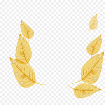 Maple leaf - Autumn maple leaf vector Maple leaf - Autumn maple leaf vector