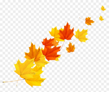 Maple Leaf Autumn - Maple Leaf Vector Png Maple Leaf Autumn - Maple Leaf Vector Png