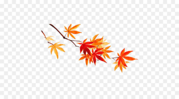 Maple leaf Autumn - Maple watercolor Maple leaf Autumn - Maple watercolor