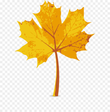 Maple leaf Autumn - Vector autumn maple leaf Maple leaf Autumn - Vector autumn maple leaf