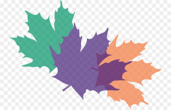 Maple leaf Beisiegel Orthodontics Clear aligners Illustration - clear braces 