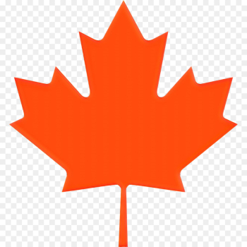 Maple Leaf, Canada, Flag Of Canada, Leaf PNG