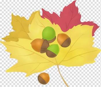 Maple leaf Cartoon, Autumn Life Icon transparent background PNG clipart