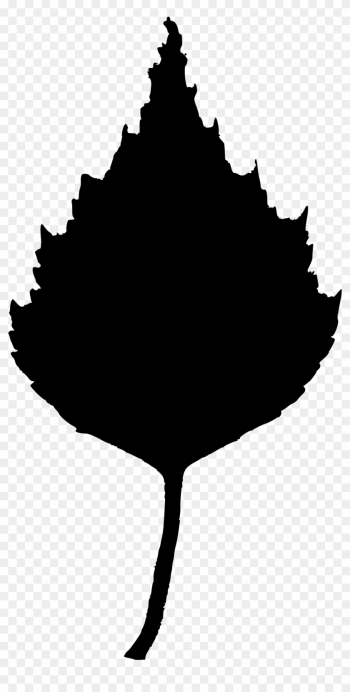 Maple Leaf Clipart - Birch Leaf Clip Art Maple Leaf Clipart - Birch Leaf Clip Art