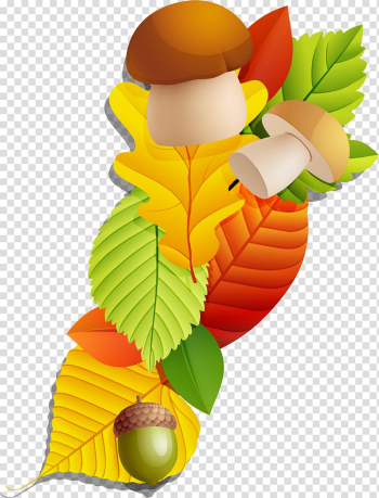 Maple leaf , Colorful plant symbol transparent background PNG clipart Maple leaf , Colorful plant symbol transparent background PNG clipart