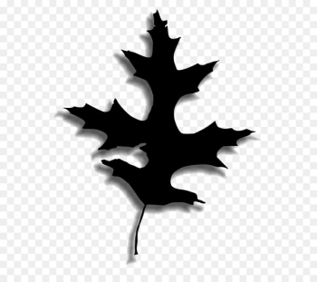 Maple leaf Desktop Wallpaper Computer - Maple leaf Desktop Wallpaper Computer -