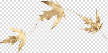 Maple leaf , Gold leaf transparent background PNG clipart Maple leaf , Gold leaf transparent background PNG clipart