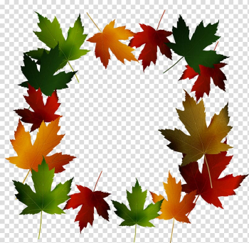 Maple leaf Green, Green Falling Maple Leaf Frame transparent background PNG clipart