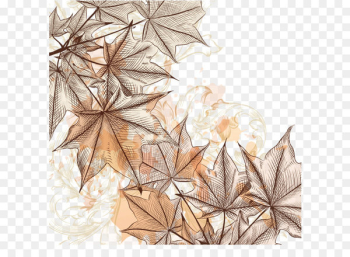 Maple leaf Illustration - Hand-painted maple leaf Maple leaf Illustration - Hand-painted maple leaf