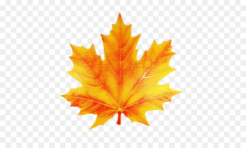 Maple leaf Image Painting Stock photography - Leaf Maple leaf Image Painting Stock photography - Leaf