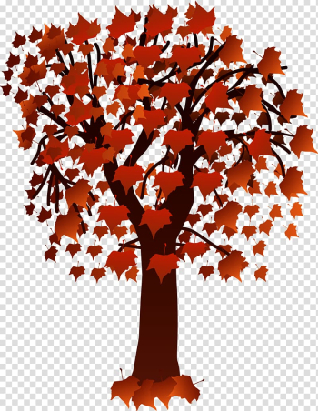Maple leaf Japanese maple , Leaf transparent background PNG clipart Maple leaf Japanese maple , Leaf transparent background PNG clipart